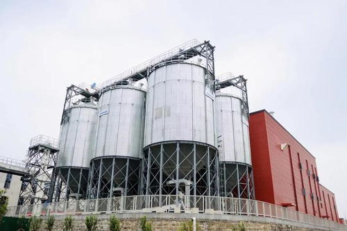 山東省酒業(yè)協會領導參觀指導趵突泉酒莊技術開發(fā)與建設工作